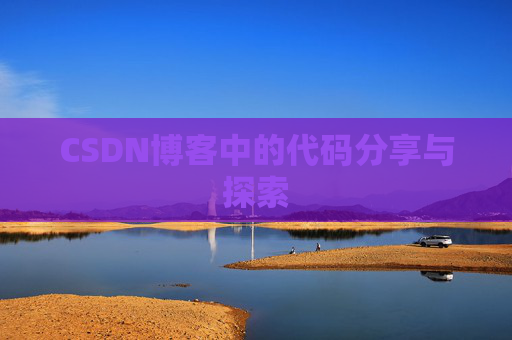 CSDN博客中的代码分享与探索